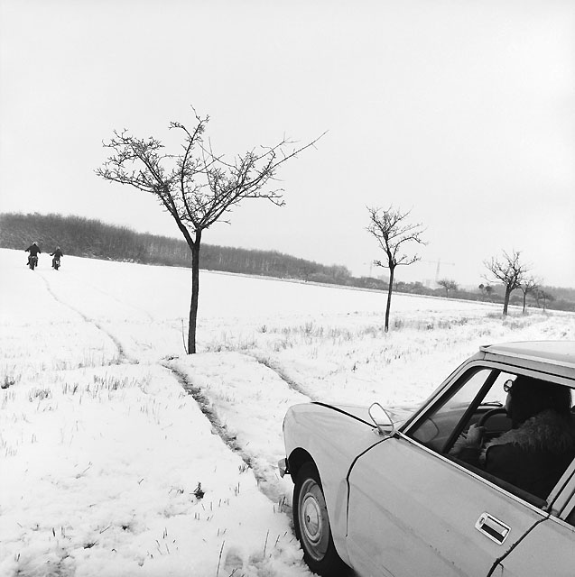 Милый юмор от фотографа Rene Maltete.