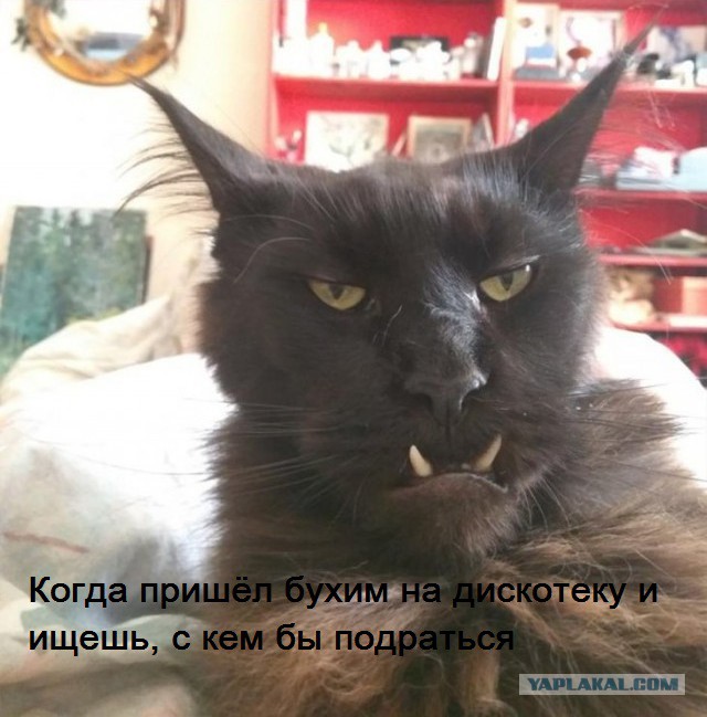 Традиционный алкопост в эту пятницу