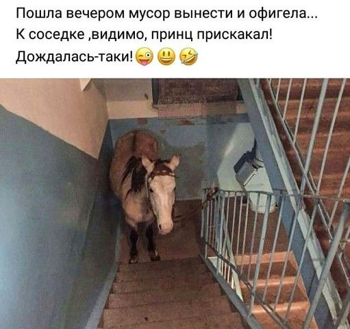 Картинок разных винегрет