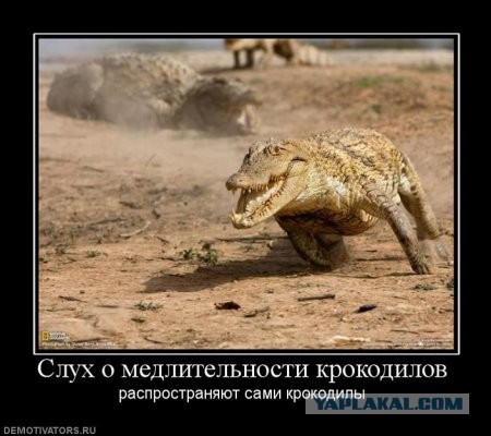 Древние мемы с ВК. Для тех кто забыл