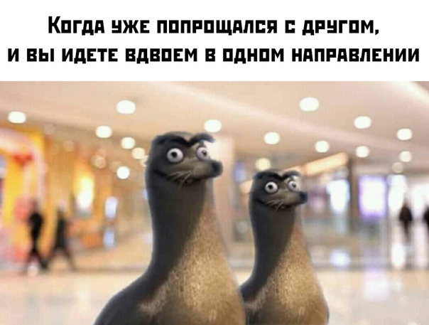 Чуток картинок. 02.02.20