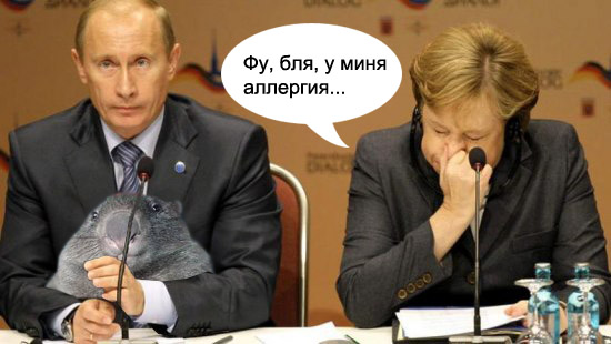 Что случилось, Володя?