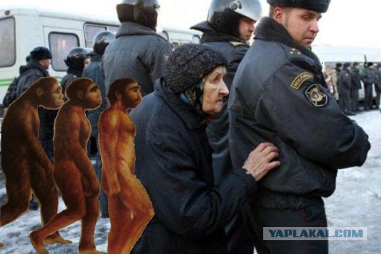 Фотожаба: Бабка и менты