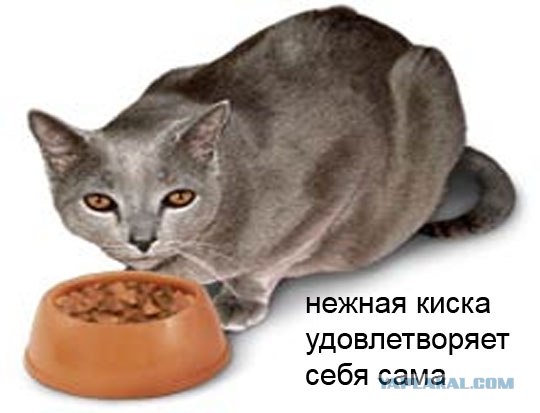 Шокирующее ПОРНО! 21+ фото