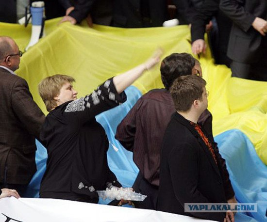 Яичный бой в Украинском парламенте!