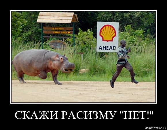 Нападение дикого кабана