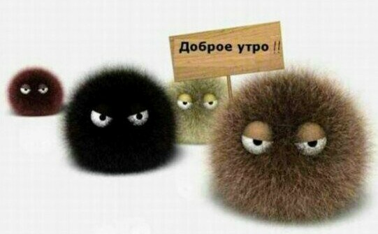 Последняя картинка в вашей Галерее/Загрузках