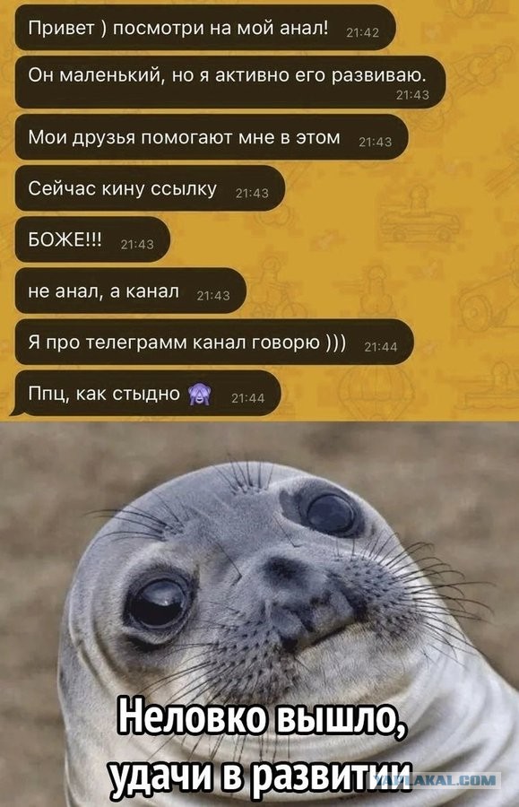 Забавные шутки, картинки и фразы из этих ваших интернетов 27.10.2021