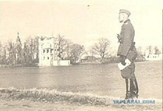 Парки и фонтаны Петергофа