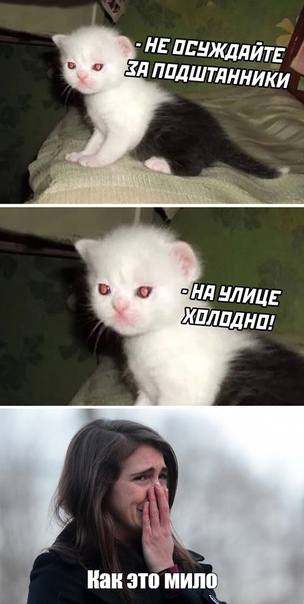 40 картинок разных 03.02.2022