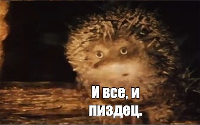 Рекорд не удался