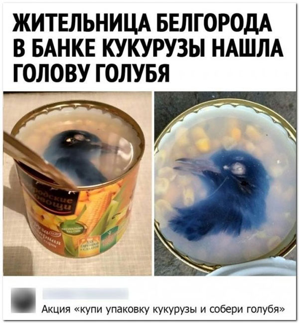 Рамки, буковки, картинки. Иногда смешно. А некоторые, даже не баяны
