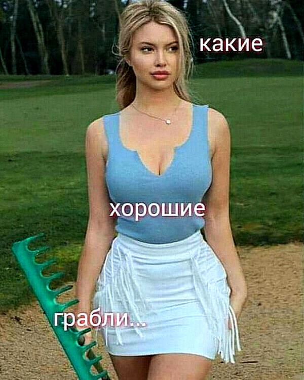 Вторничные веселые картинки с просторов Сети