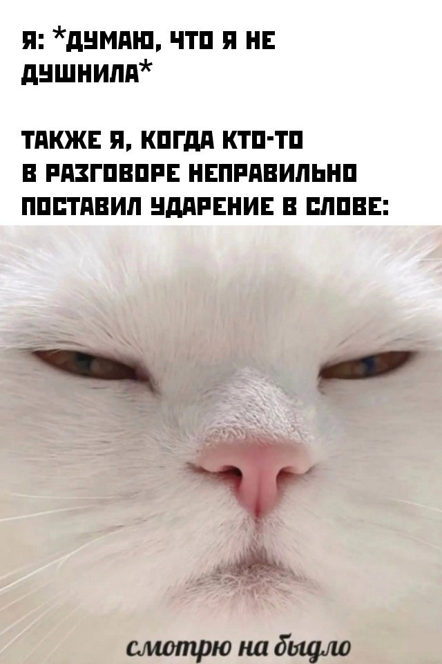 Картинки и мемы для настроения - 181