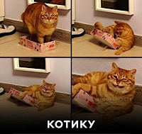 Отряд быстрого деградирования