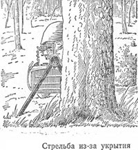 "Калаш" булл-пап