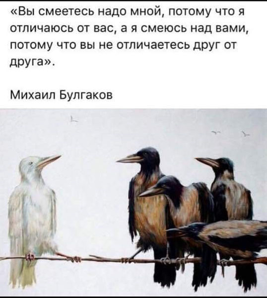 Прикольные и просто красивые картинки 22.10.2024