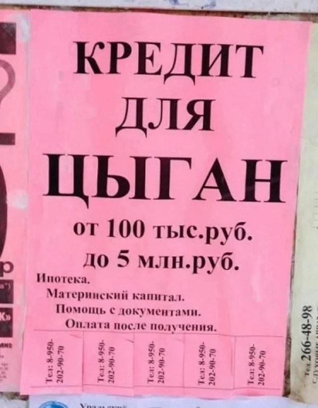 Всего понемногу. От 14.11.2024