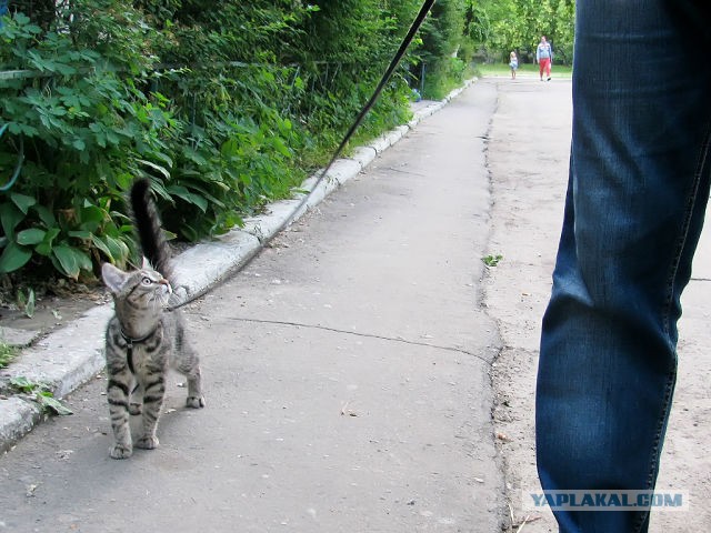 Нехочу-небуду-отпусти!