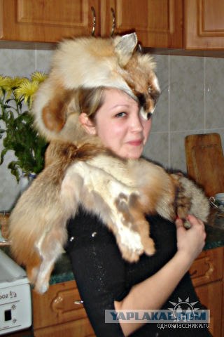 Дикие фото из социальных сетей