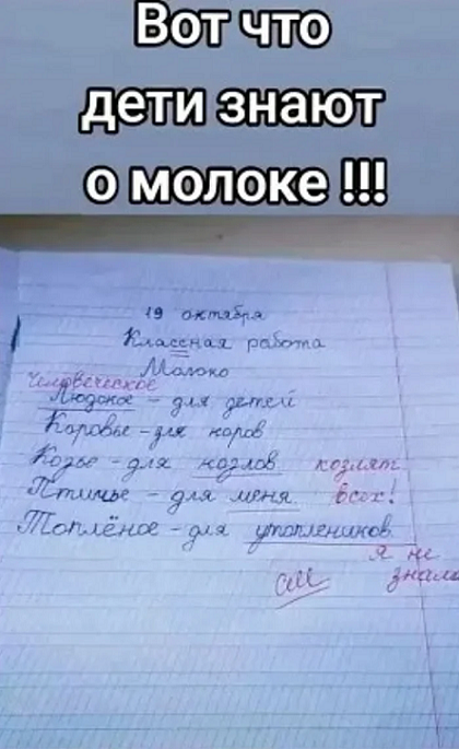 Так себе картинки 25.02.25