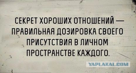 Веселые картинки в понедельник (22.09)