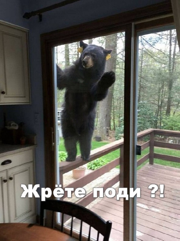 Веселое настроение в картинках (30.10.2025)