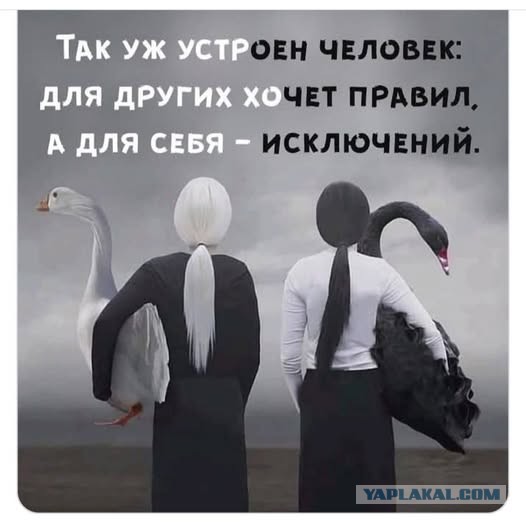 Четверговые картинки