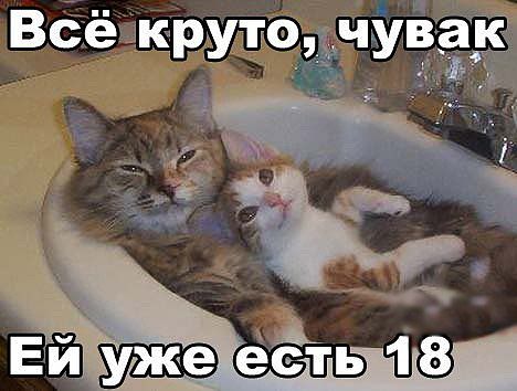 Немного баянчиков на вечер