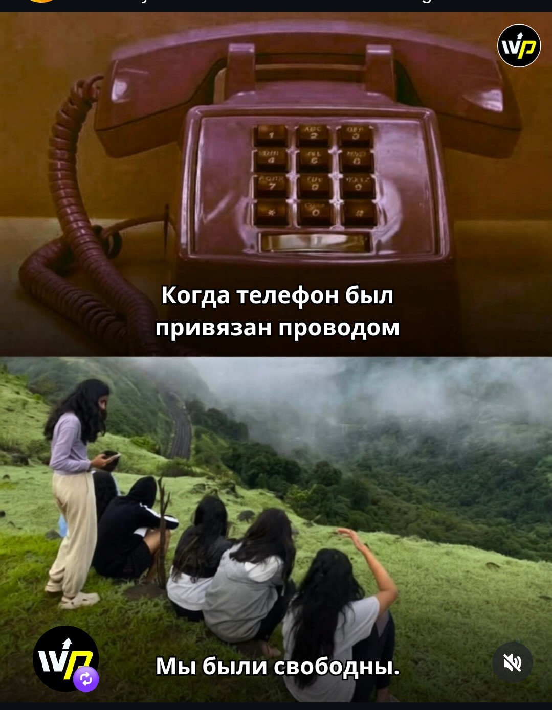20755954.jpg