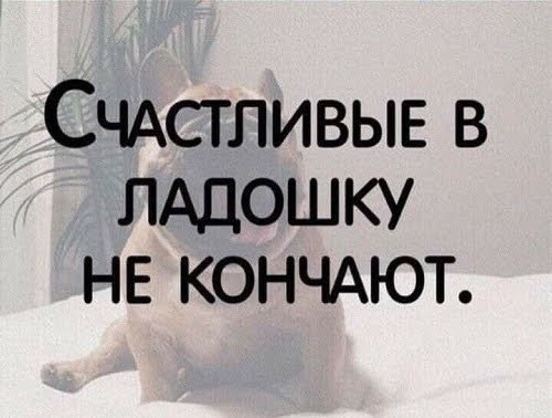 Картинки для деградации 144 (разной степени свежести)