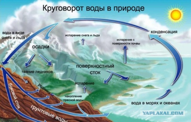 Веселые картинки и немного девушек (50 изображений)