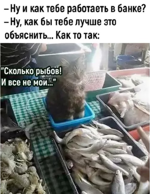 Картиночки, баянчики 15 марта