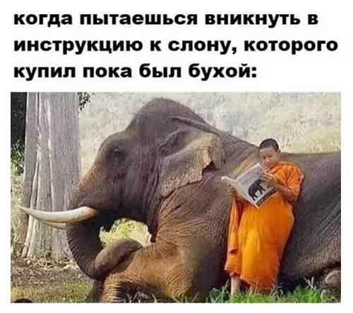 Пятничные картинки