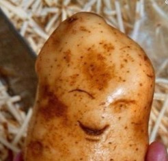 Кто такая фригидная женщина?