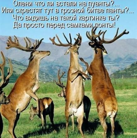 Воронежец лишился зубов из-за жены-изменщицы