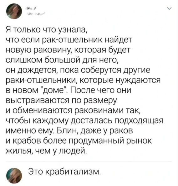 Картинки для деградации 256 (разной степени свежести)