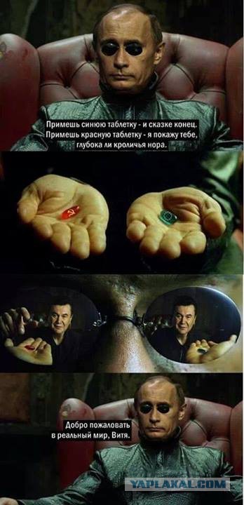 Беркут пошел на штурм