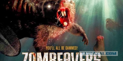 Всем бобра!