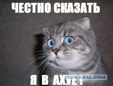 В Донецкой республике найден офицер ГРУ!