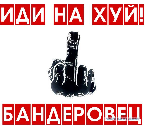 Губарев: Остался час до начала тотального
