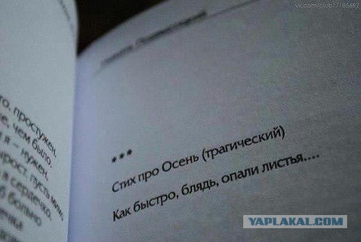 Немного позитива на пятницу