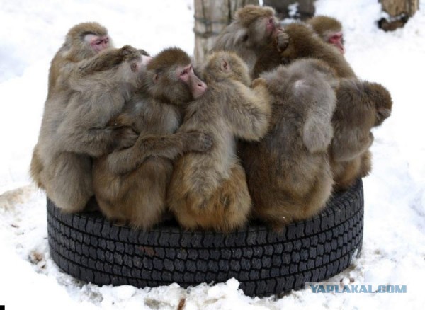 Зеленский всё не успокоится