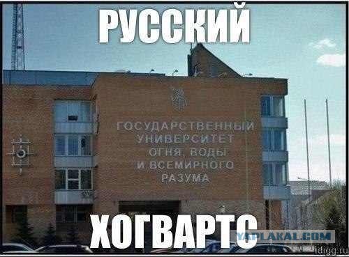 Весёлые картинки