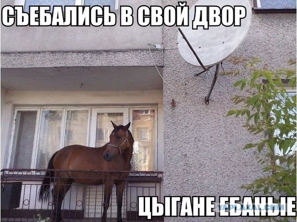 Как цыгане вводят человека в транс