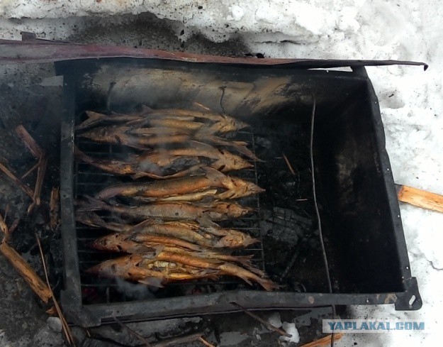 Готовим на костре или лесная кулинария