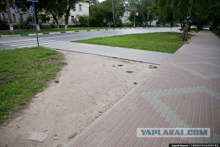 Люди – бараны, или чиновники – дураки?
