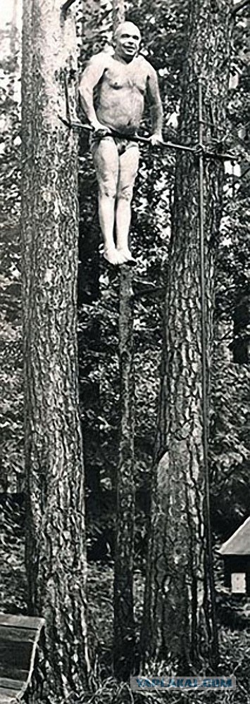 Подборка редких фотографий со всего мира