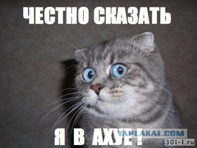 Не человек, а гадкое животное