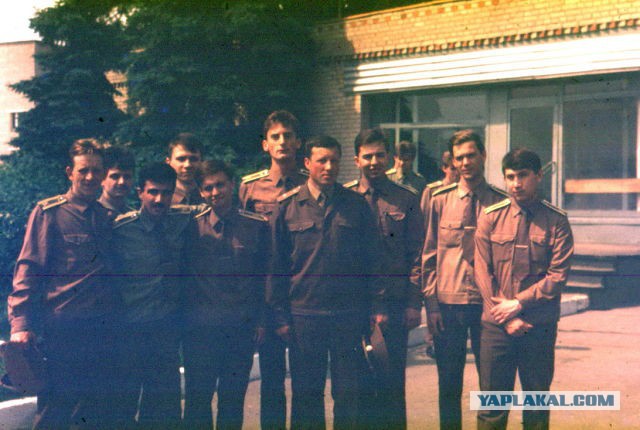 Шишкин лес или военный способ добывания ореха